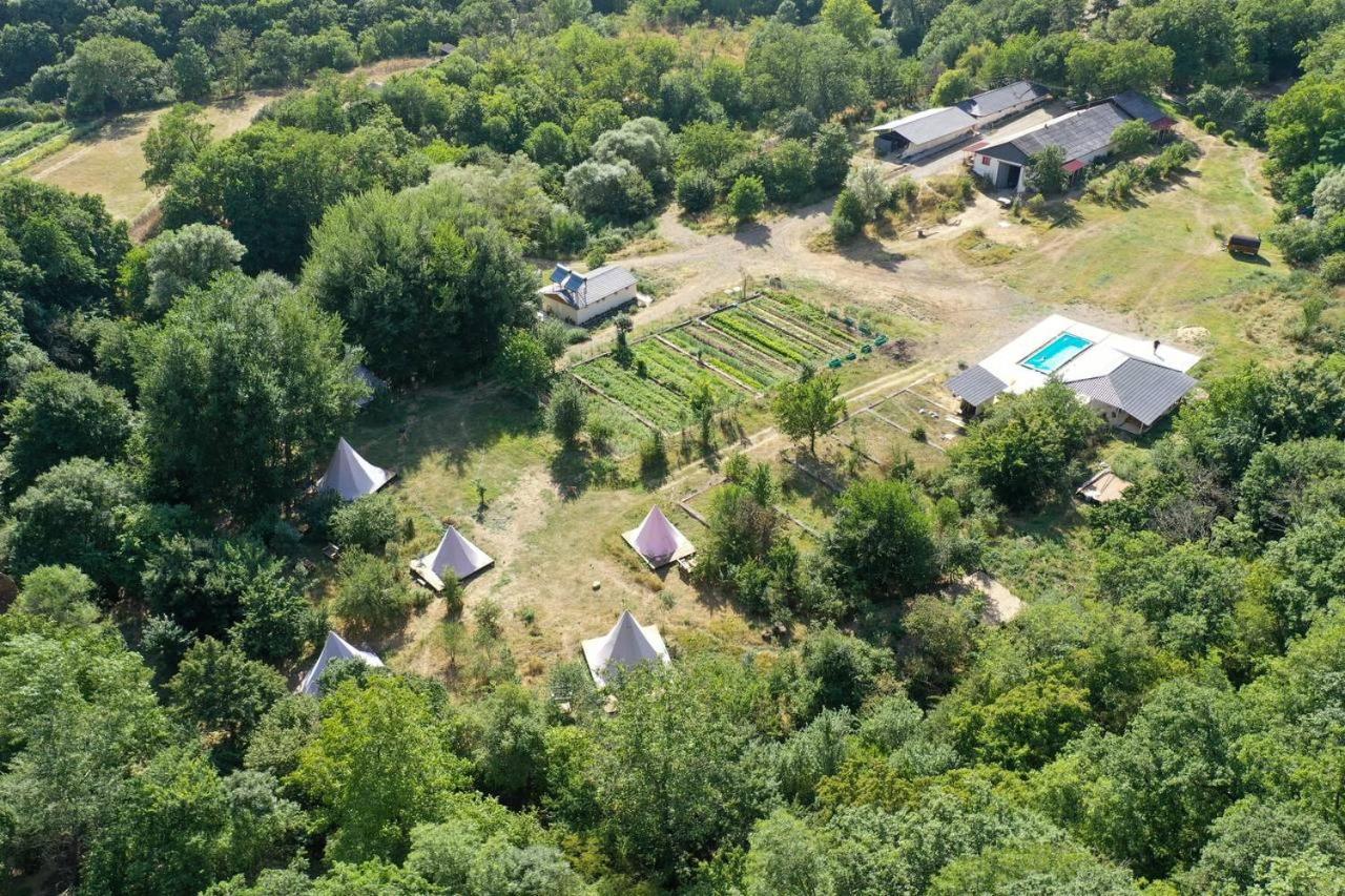 Gipsy Village Park Hotel Asureti 外观 照片